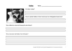 Arbeitsblatt-Kattas-1.pdf